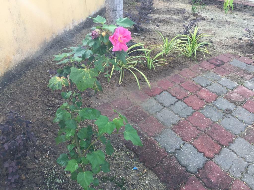The Garden Vacation Home Lumut Zewnętrze zdjęcie