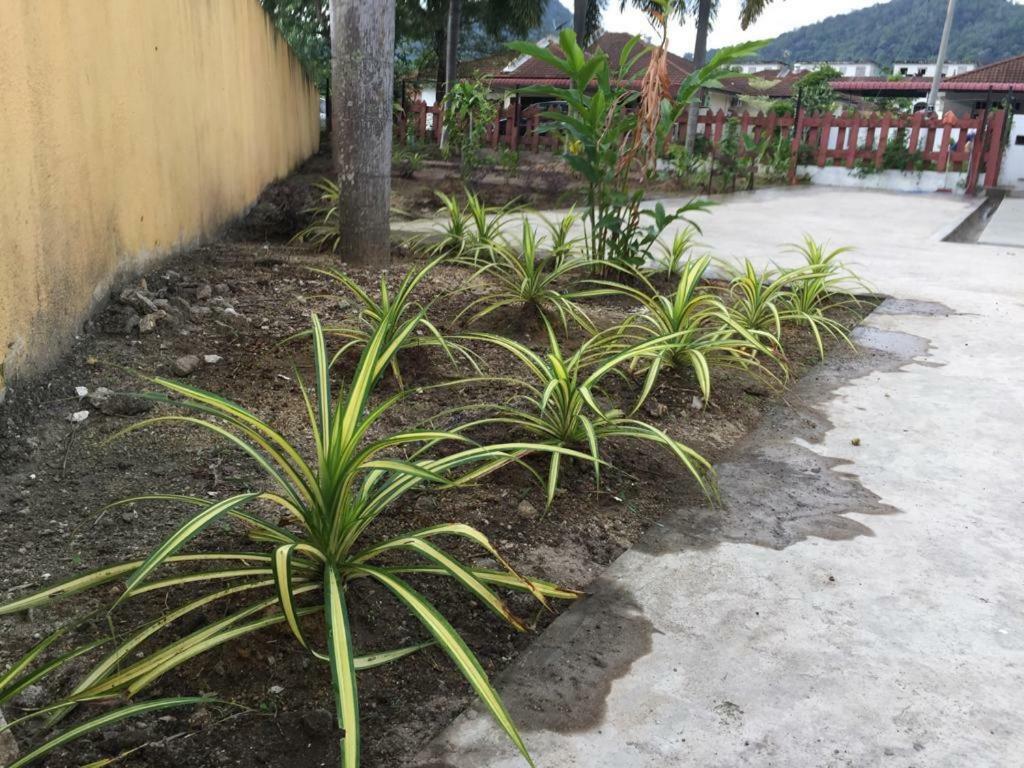 The Garden Vacation Home Lumut Zewnętrze zdjęcie